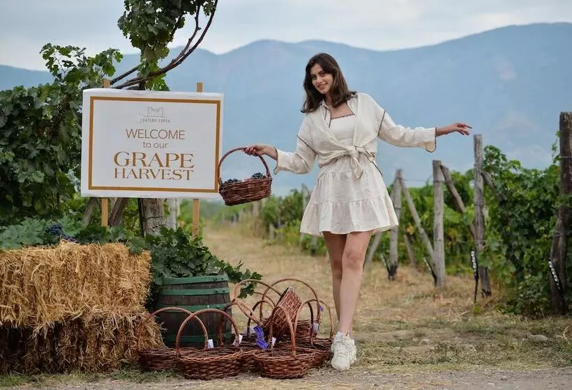 ホテル Maison & Chateau Copsa