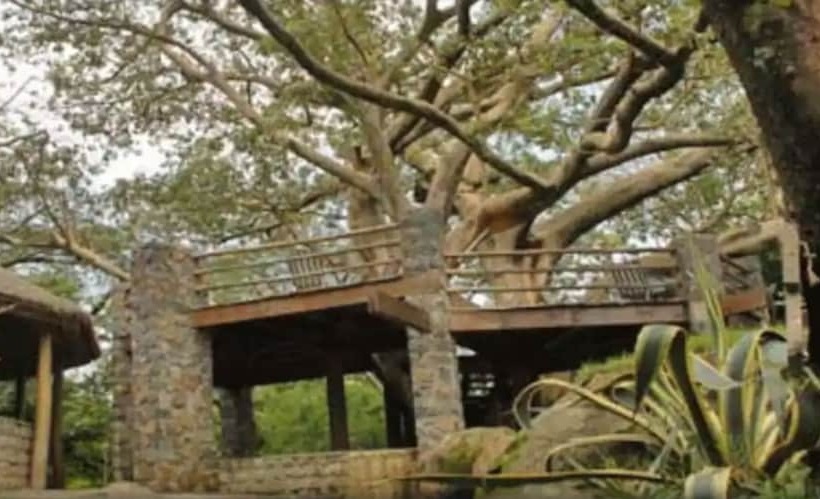 هتل Negash Resort