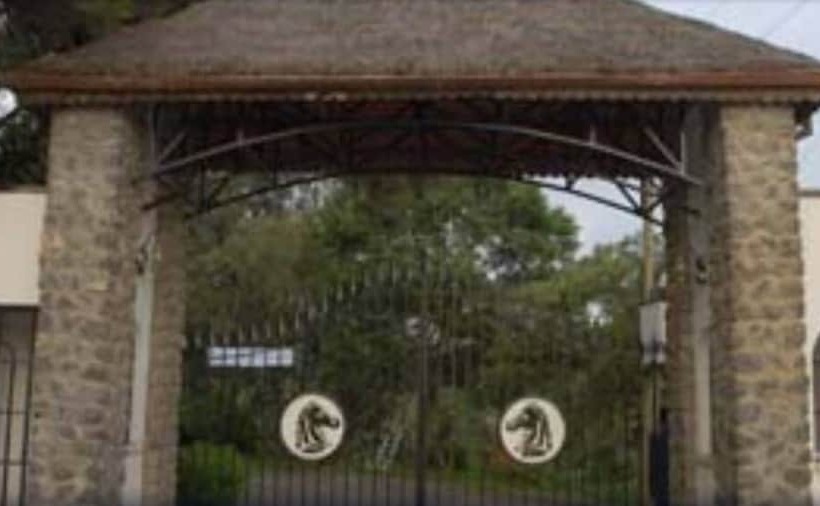 هتل Negash Resort