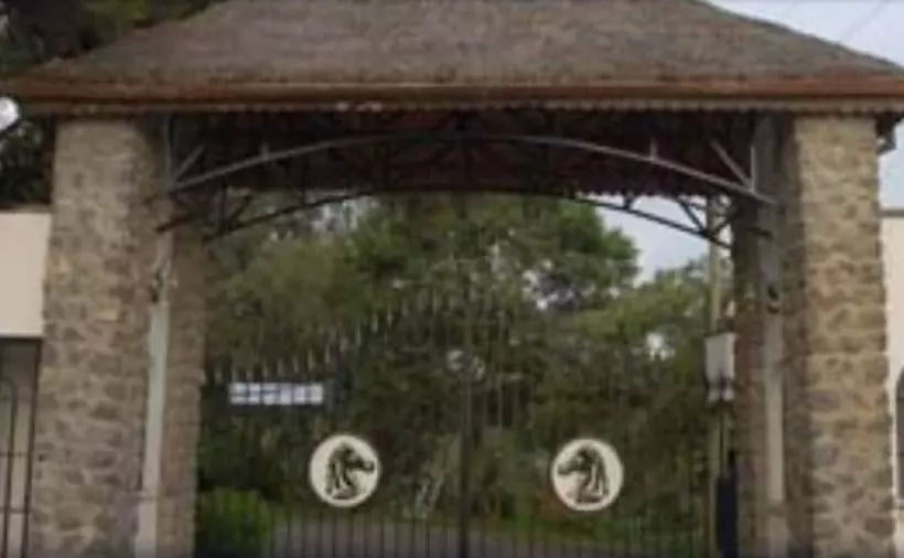 هتل Negash Resort