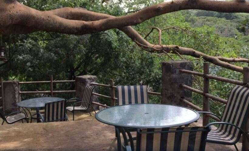 هتل Negash Resort