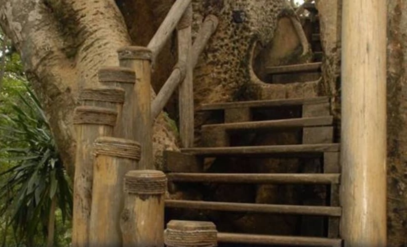 هتل Negash Resort