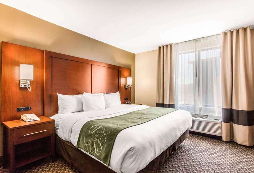 فندق Comfort Suites Tuscaloosa Near University