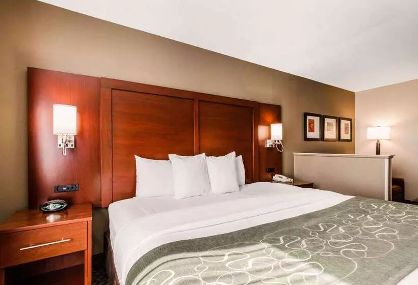 فندق Comfort Suites Tuscaloosa Near University