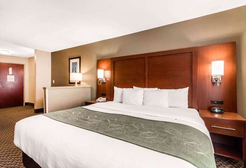 فندق Comfort Suites Tuscaloosa Near University