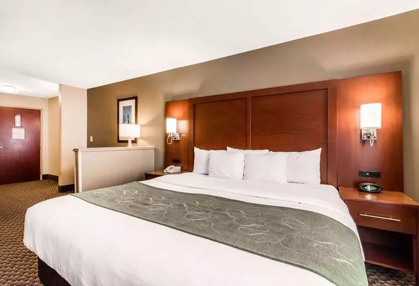 فندق Comfort Suites Tuscaloosa Near University