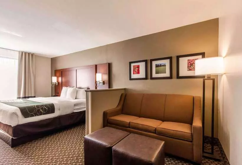 فندق Comfort Suites Tuscaloosa Near University