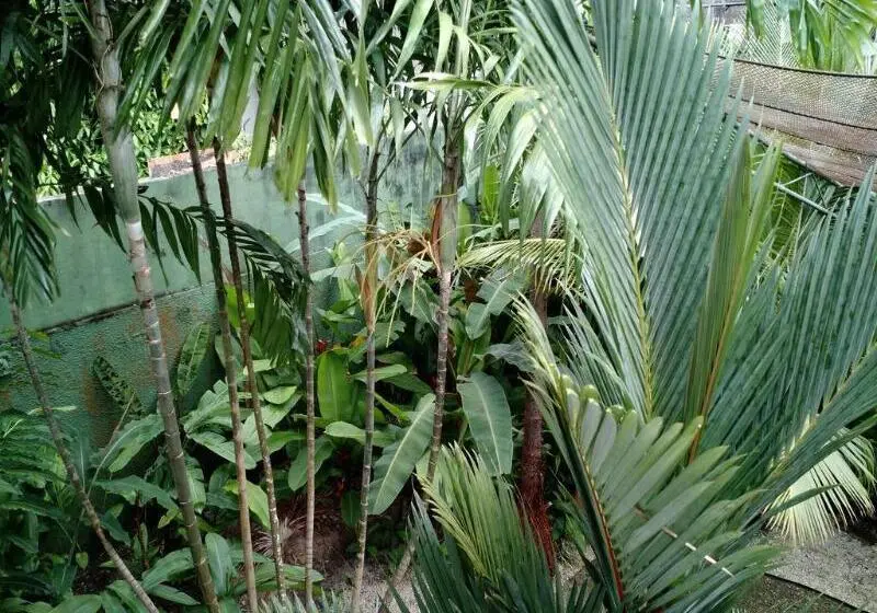 ホテル Ecopousada Miriti