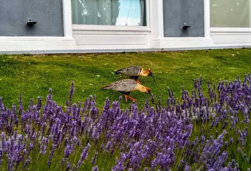 בית מלון כפרי Los Ponchos