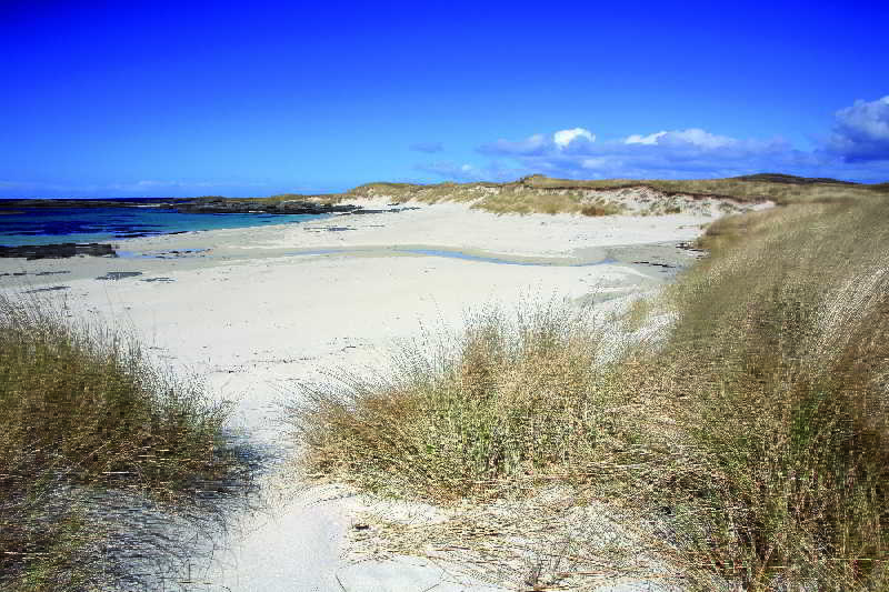 호텔 Pontins Camber Sands Holiday Park