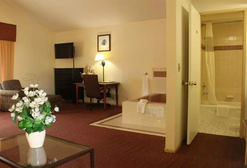 ホテル Portofino Beach Inn