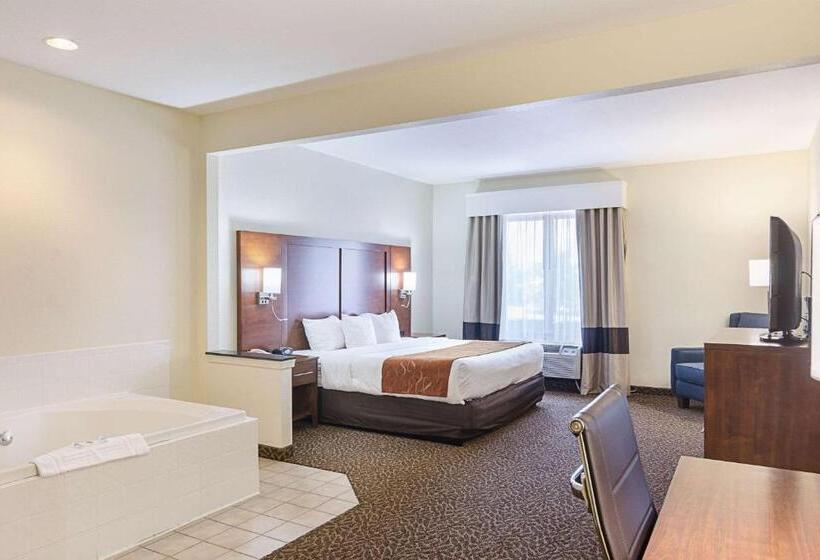 酒店 Quality Suites Springdale West I 49