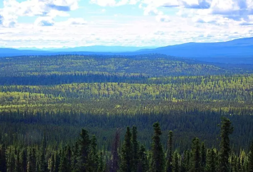 Hotelli Alpine Creek Lodge