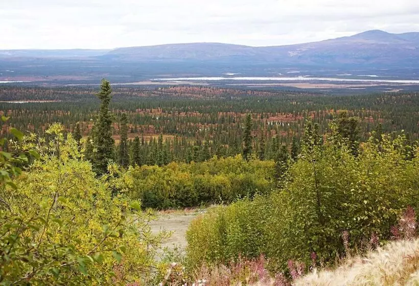 Hotelli Alpine Creek Lodge