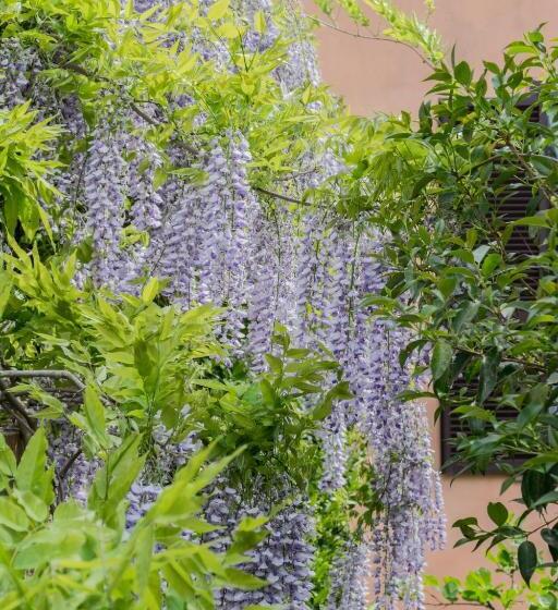 호텔 B&b Le Buche Casa Storica