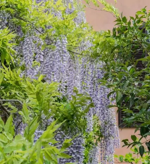 Hotelli B&b Le Buche Casa Storica