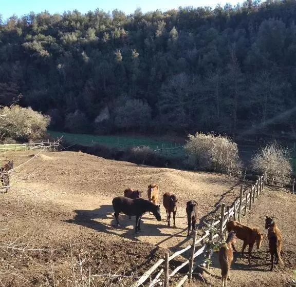 Hotelli B&b Le Buche Casa Storica