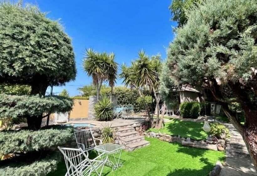 Bay Holiday Hotel & Spa