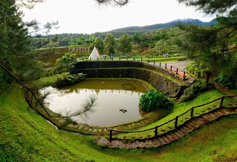 Hotel Dahilayan Forest Park Resort