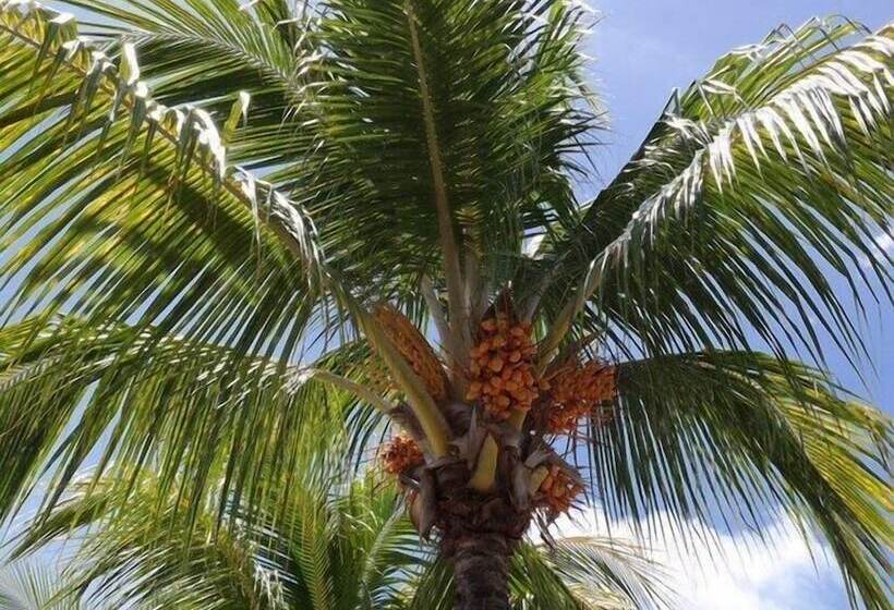 هتل Maison D'hôtes Coignet