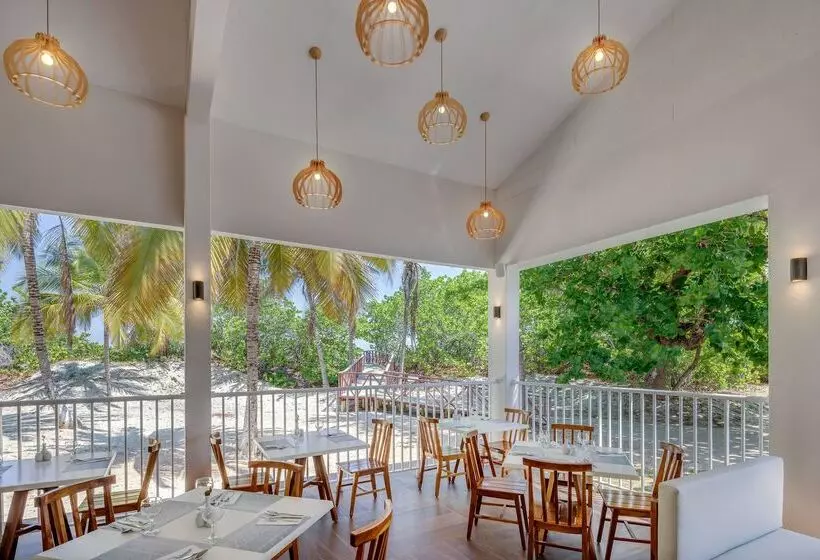 ホテル Sol Caribe Beach