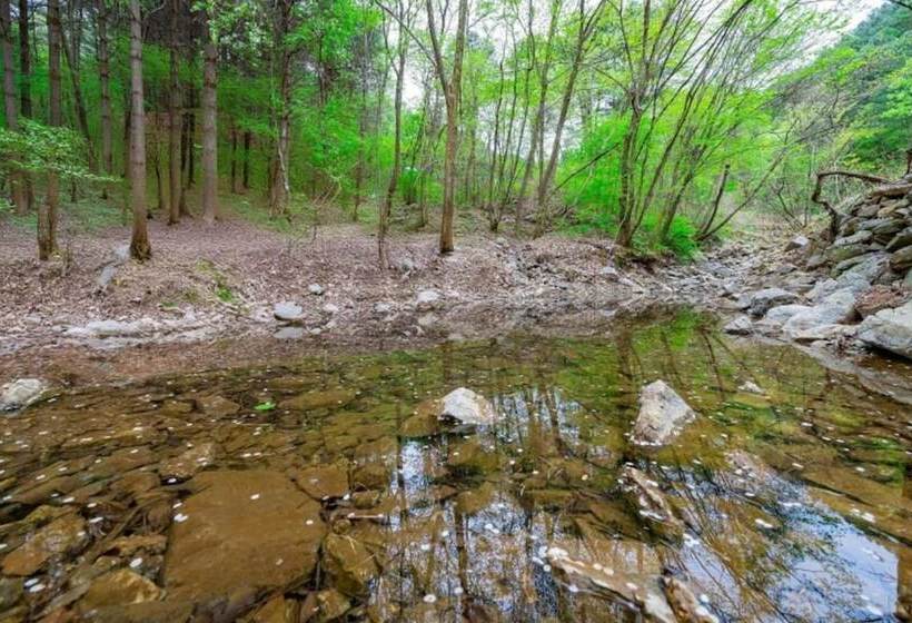 Yangpyeong Sweet Tree Pension