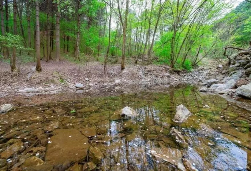 Yangpyeong Sweet Tree Pension