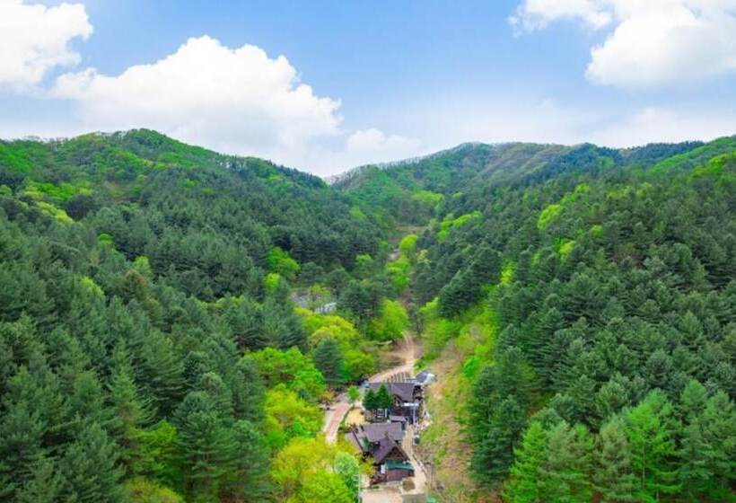 Yangpyeong Sweet Tree Pension