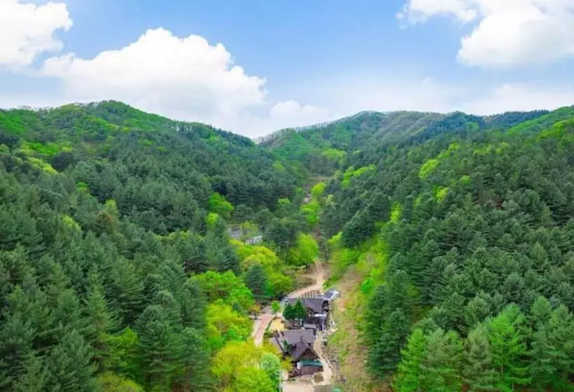 Yangpyeong Sweet Tree Pension