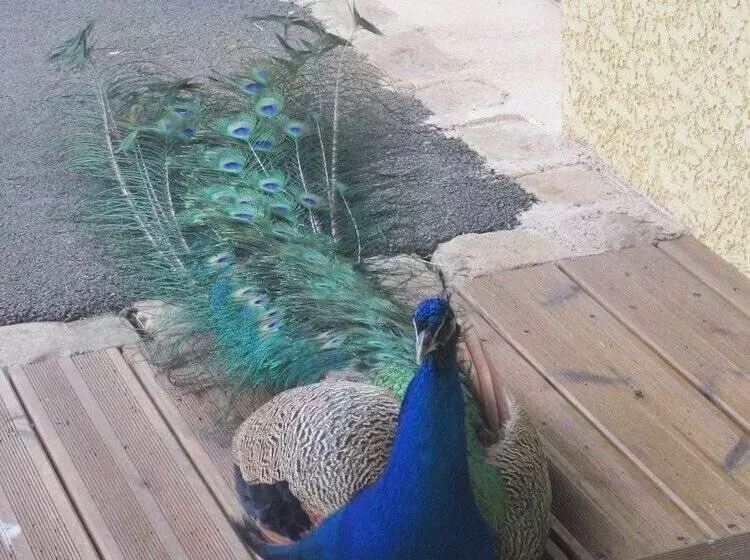 Hotelli Au Domaine Du Cerf