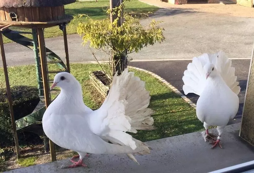 Hotelli Au Domaine Du Cerf