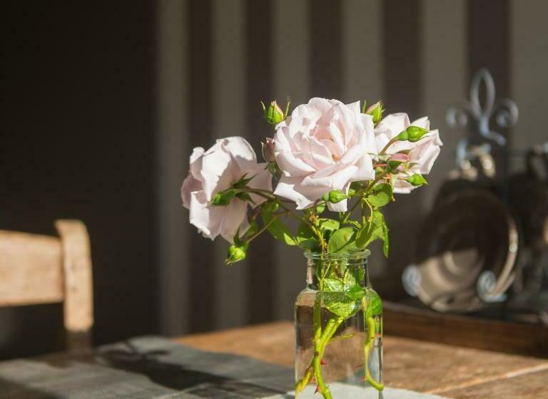 Bed and Breakfast Broeks  Bed En Brood