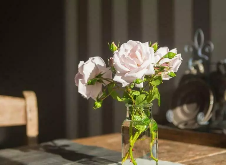 Aamiaismajoitus (B&B) Broeks  Bed En Brood