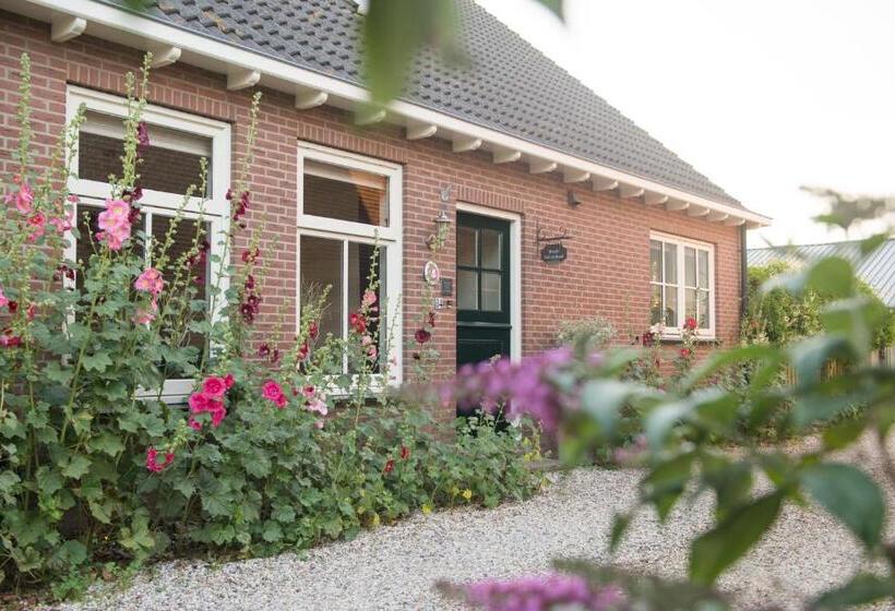 Bed and Breakfast Broeks  Bed En Brood