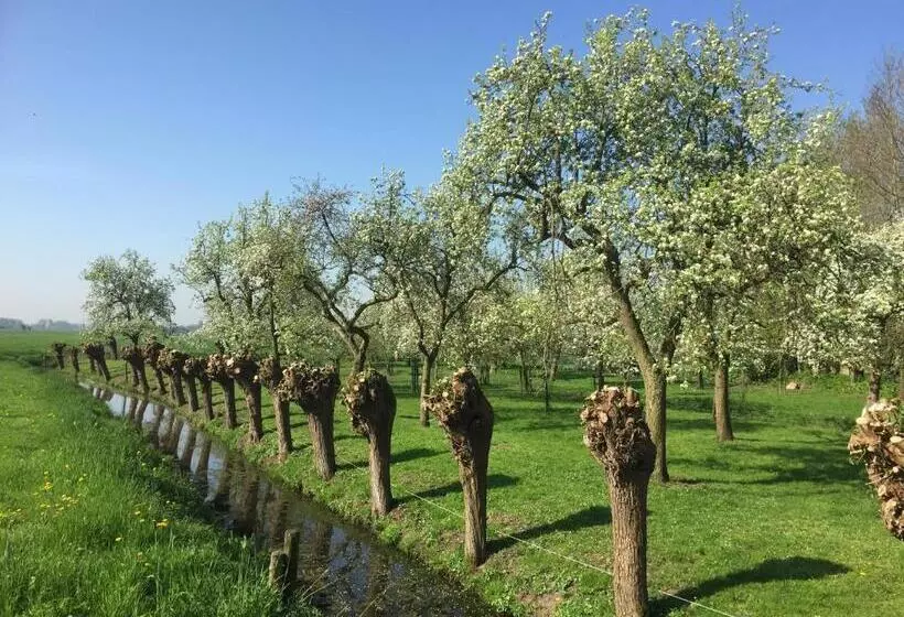 Aamiaismajoitus (B&B) Broeks  Bed En Brood
