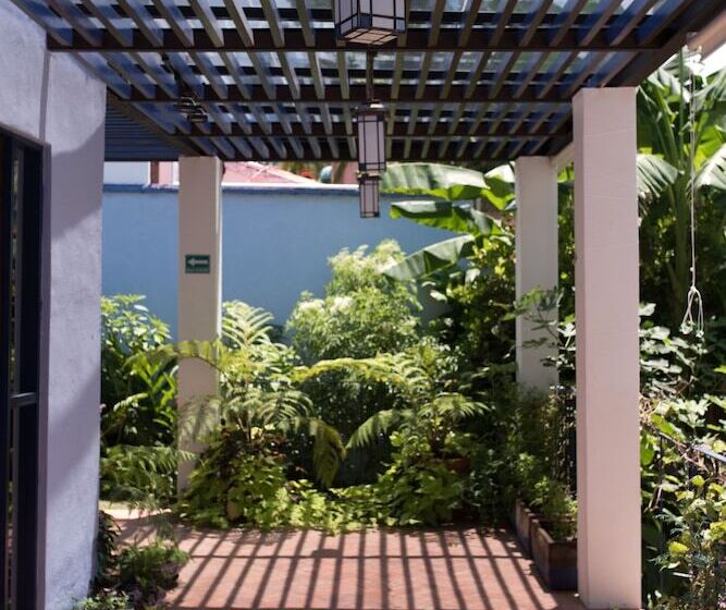 Casa Nawalli Sayulita Boutique Hotel   Adults Only