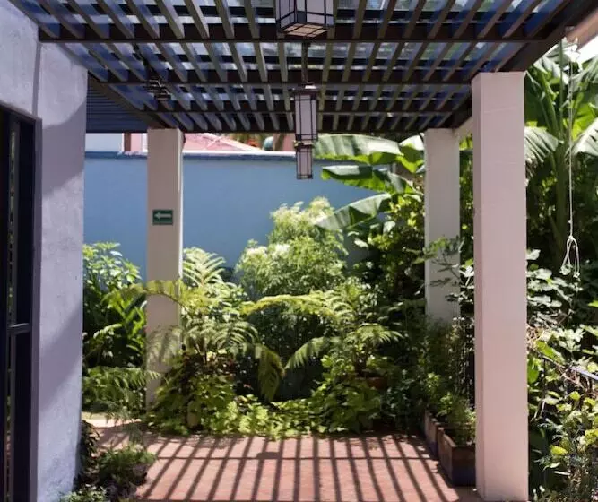Casa Nawalli Sayulita Boutique Hotel   Adults Only