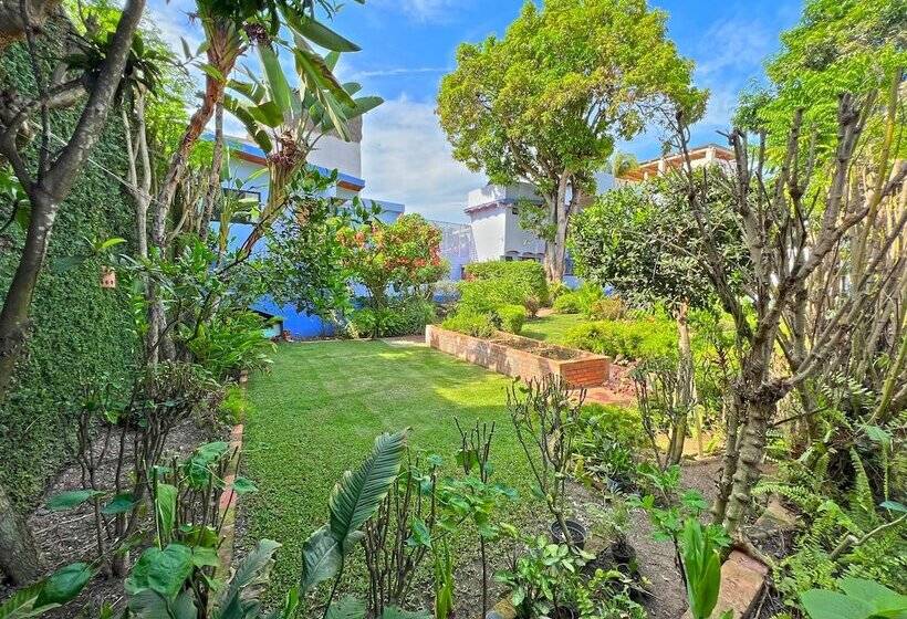 Casa Nawalli Sayulita Boutique Hotel   Adults Only