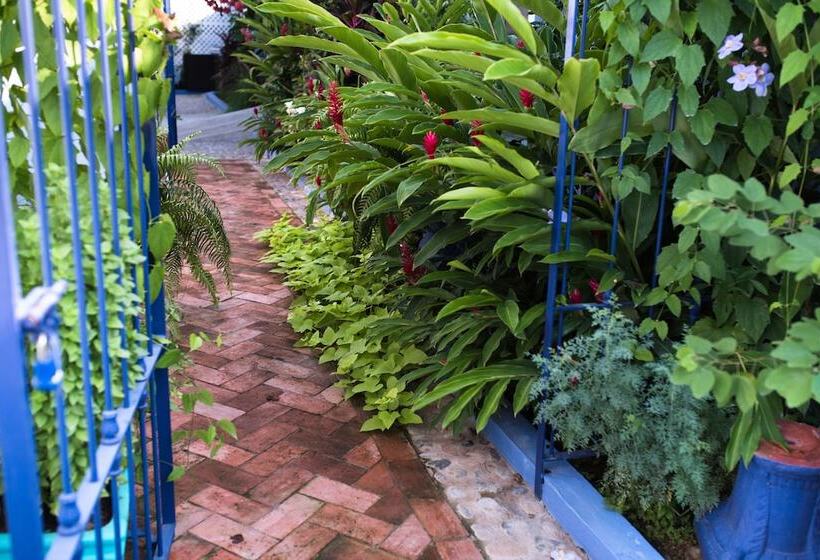 Casa Nawalli Sayulita Boutique Hotel   Adults Only