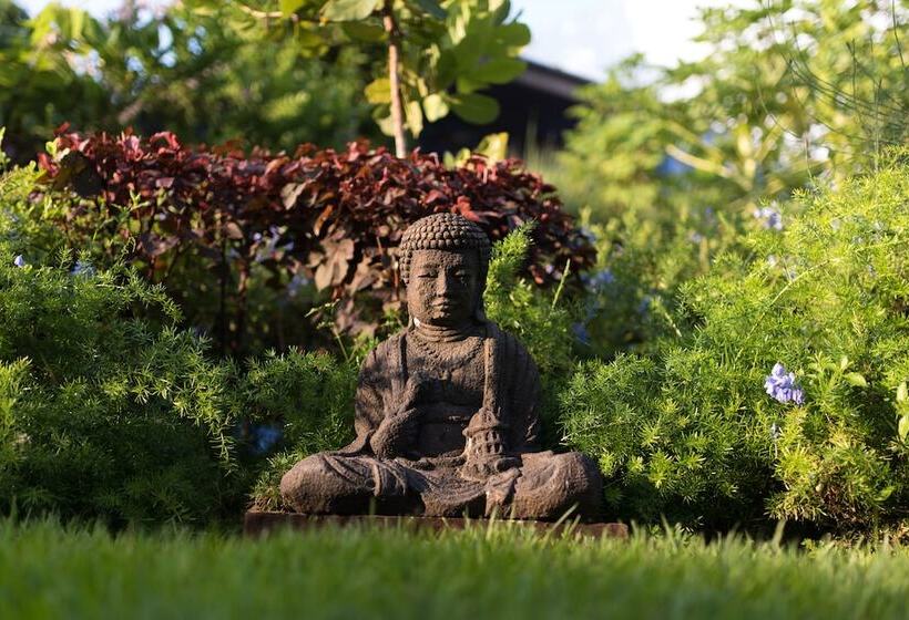 Casa Nawalli Sayulita Boutique Hotel   Adults Only