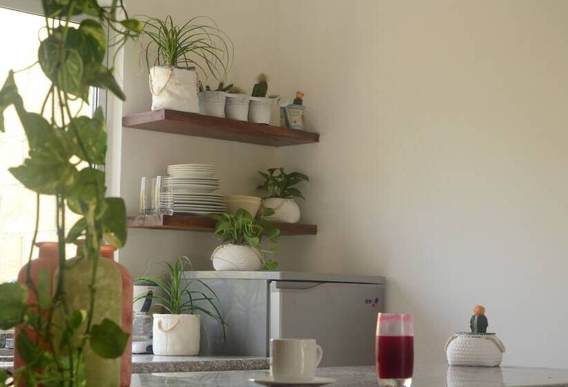 ホテル Boho Eco Chic Boutique Resort