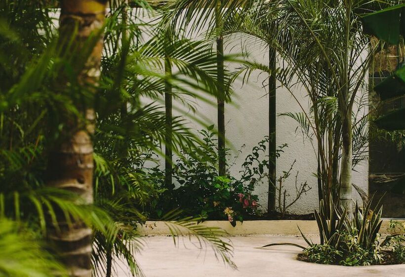 ホテル Boho Eco Chic Boutique Resort