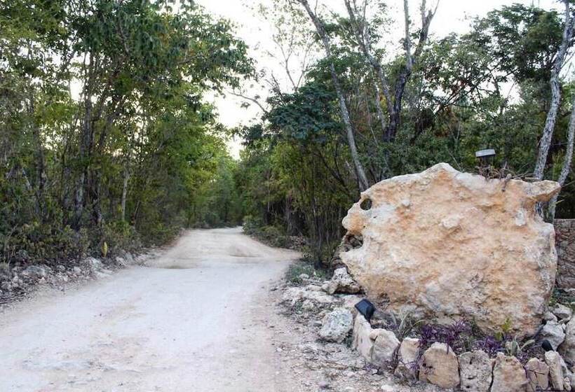 בית מלון כפרי Casa Nah Ku Hostel