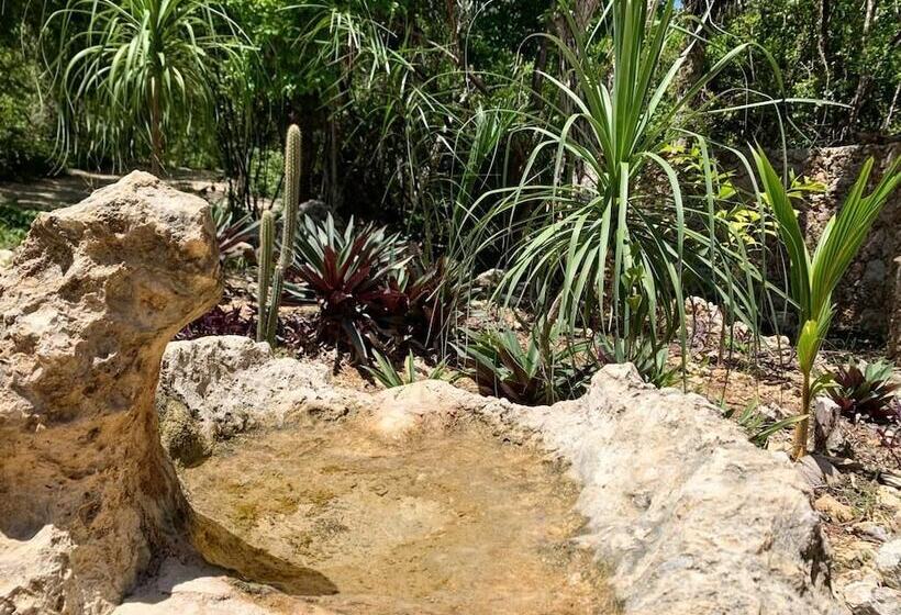 בית מלון כפרי Casa Nah Ku Hostel