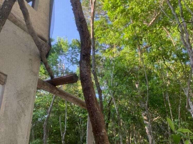 בית מלון כפרי Casa Nah Ku Hostel