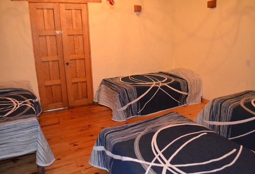 Отель Complejo Buenavista