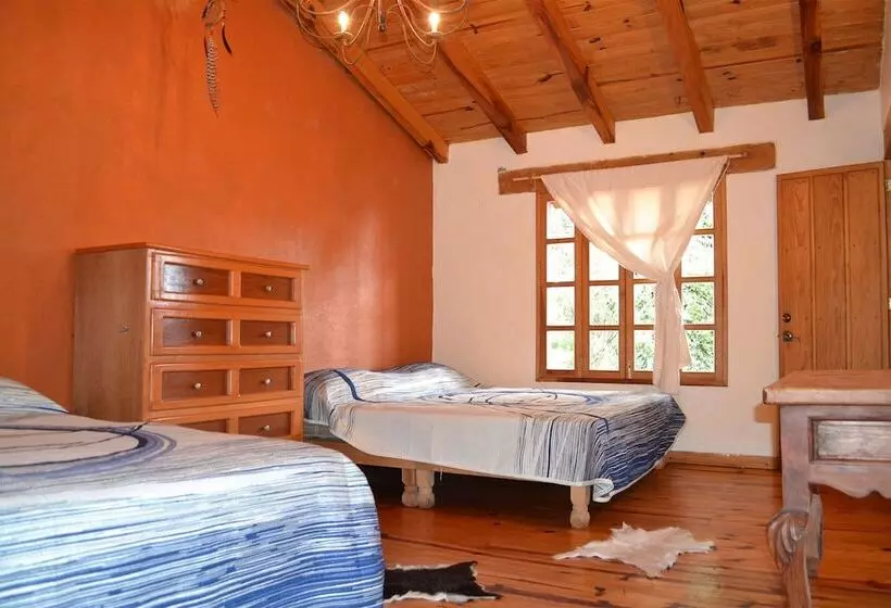 ホテル Complejo Buenavista