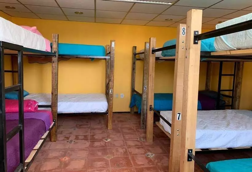 هتل Hostal Mejiquito San Marcos   Hostel
