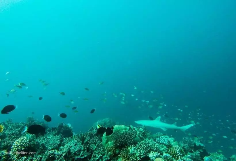 هتل Hulhudheli Inn