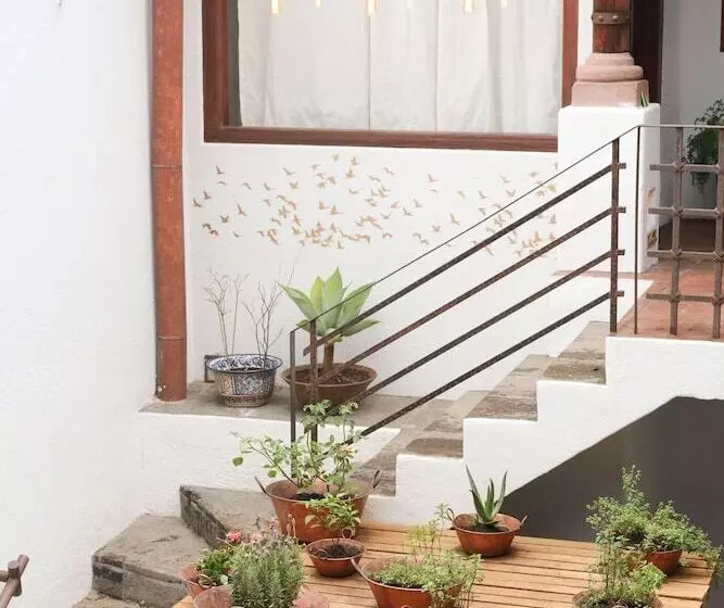 Hotelli La Dorada Town View